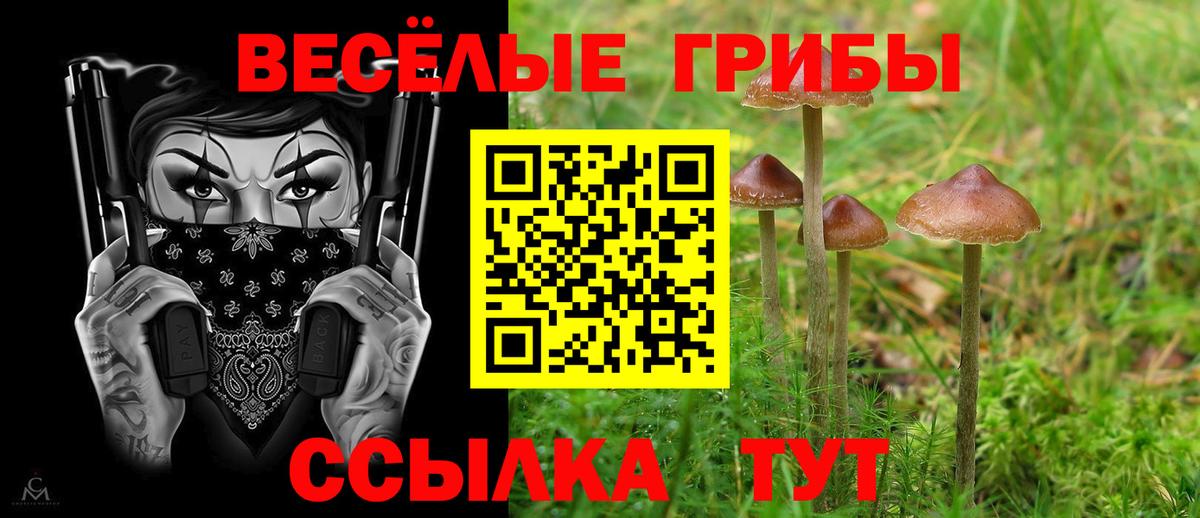 Миллерово  Галлюциногенные грибы Psilocybe  Вход с VPN 