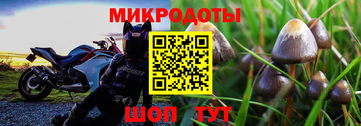 Псилоцибиновые грибы мухоморы Миллерово